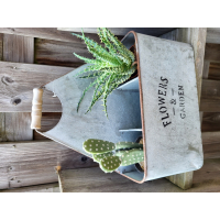 Zink Wijnfleshouder Wijnrek Plantenrek Brocant 30x20x34 cm